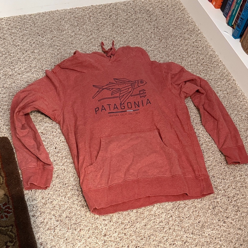 Patagonia Brick Red Graphic Hoodie